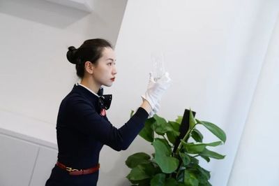 标杆来了！首个园区物业管理服务类“上海品牌”诞生在徐汇，会务服务成亮点