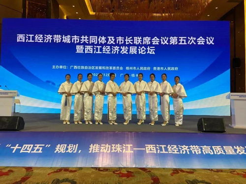 青春闪耀宝石节——记梧州宝石节中可爱可敬的青年会务服务志愿者